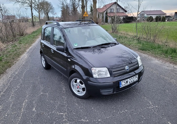 Fiat Panda cena 7900 przebieg: 158000, rok produkcji 2004 z Chełmno małe 352